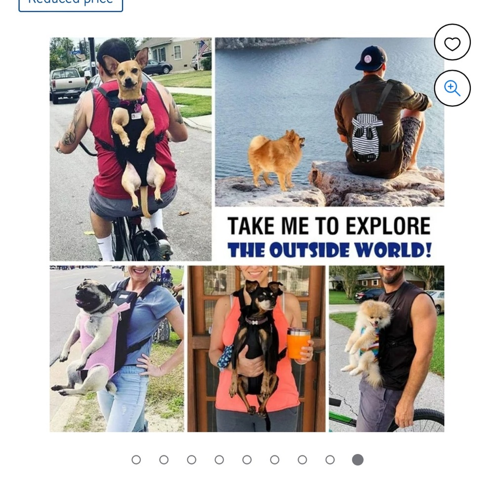 Small dog backpack carrier - Picture 3 of 10